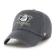 ANAHEIM DUCKS VINTAGE GENERATION  47 FRANCHISE on Sale