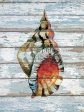 JGS120 - Seashell II - 12x16 Online Hot Sale