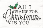 JAXN216 - All I Want for Christmas - 18x12 Online now